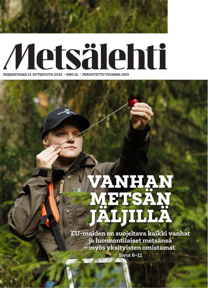 Kansikuva Metsälehti 2025