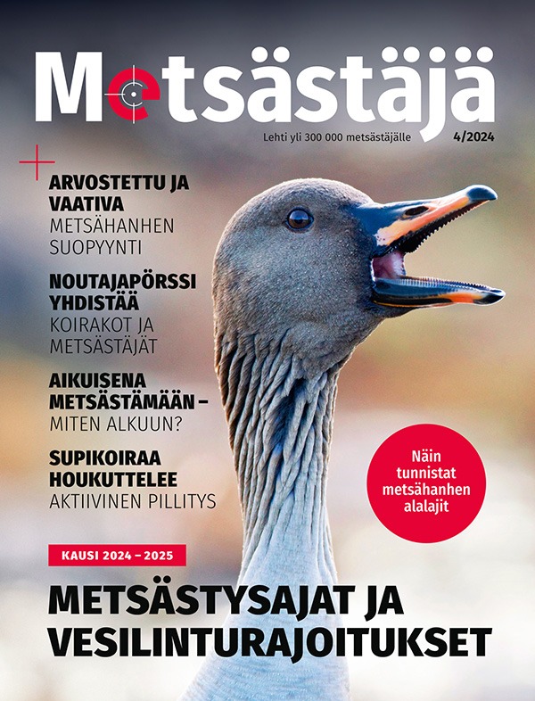 Metsästäjä kansi