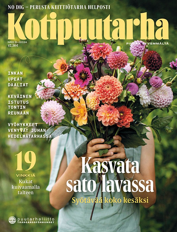 Kotipuutarha kansi