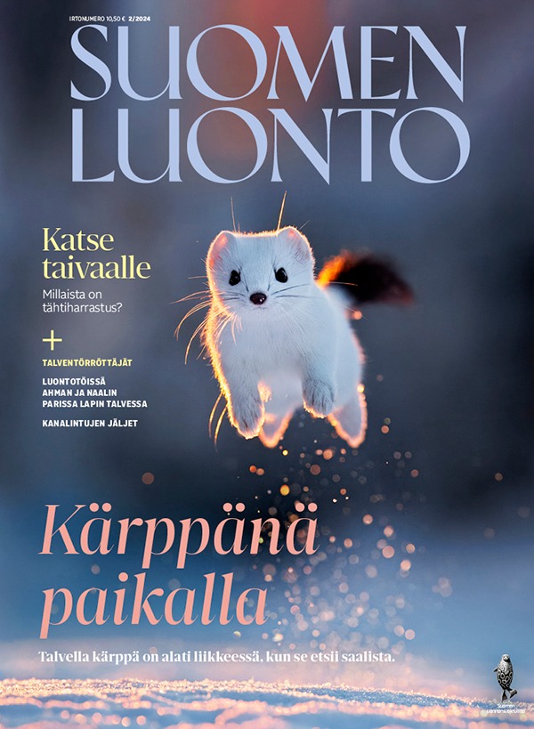 Kansikuva Suomen Luonto 2024